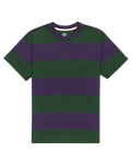 The Element Mens Crail 3.0 Stripe T-Shirt in Grape