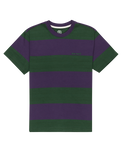 The Element Mens Crail 3.0 Stripe T-Shirt in Grape