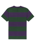 The Element Mens Crail 3.0 Stripe T-Shirt in Grape