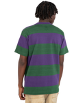 The Element Mens Crail 3.0 Stripe T-Shirt in Grape