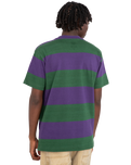 The Element Mens Crail 3.0 Stripe T-Shirt in Grape