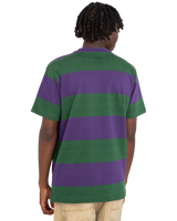 The Element Mens Crail 3.0 Stripe T-Shirt in Grape