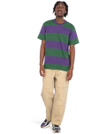 The Element Mens Crail 3.0 Stripe T-Shirt in Grape