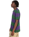 The Element Mens Crail 3.0 Stripe T-Shirt in Grape