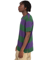 The Element Mens Crail 3.0 Stripe T-Shirt in Grape