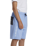 The Quiksilver Boys Boys Take Us Back Fleece Jogger Shorts in Hydrangea