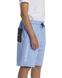 The Quiksilver Boys Boys Take Us Back Fleece Jogger Shorts in Hydrangea