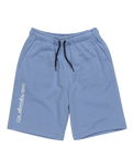 The Quiksilver Boys Boys Take Us Back Fleece Jogger Shorts in Hydrangea