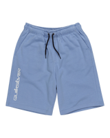 The Quiksilver Boys Boys Take Us Back Fleece Jogger Shorts in Hydrangea