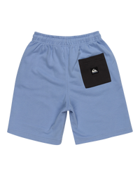 The Quiksilver Boys Boys Take Us Back Fleece Jogger Shorts in Hydrangea