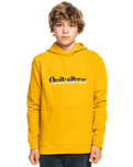 The Quiksilver Boys Boys Primary Colours Hoodie in Nugget Gold