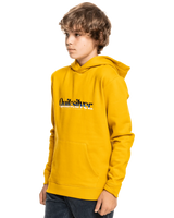 The Quiksilver Boys Boys Primary Colours Hoodie in Nugget Gold