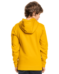 The Quiksilver Boys Boys Primary Colours Hoodie in Nugget Gold