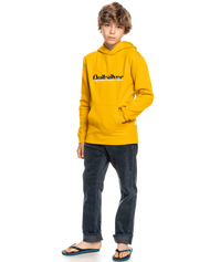 The Quiksilver Boys Boys Primary Colours Hoodie in Nugget Gold