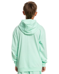 The Quiksilver Boys Boys Retro Fade Hoodie in Beach Glass