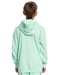 The Quiksilver Boys Boys Retro Fade Hoodie in Beach Glass