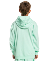 The Quiksilver Boys Boys Retro Fade Hoodie in Beach Glass