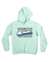 The Quiksilver Boys Boys Retro Fade Hoodie in Beach Glass