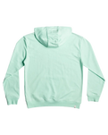 The Quiksilver Boys Boys Retro Fade Hoodie in Beach Glass