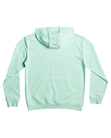 The Quiksilver Boys Boys Retro Fade Hoodie in Beach Glass