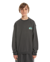 The Quiksilver Boys Boys Take Us Back Sweatshirt in Tarmac