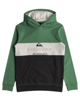 The Quiksilver Boys Boys Embroidered Block Hoodie in Frosty Spruce