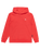 The Quiksilver Boys Boys Basic Hoodie in Cayenne