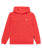 The Quiksilver Boys Boys Basic Hoodie in Cayenne