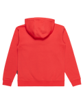 The Quiksilver Boys Boys Basic Hoodie in Cayenne