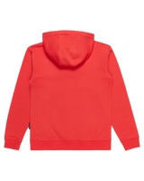 The Quiksilver Boys Boys Basic Hoodie in Cayenne