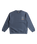 The Quiksilver Boys Boys Screen Crew Sweatshirt in Vintage Indigo