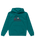 The Quiksilver Boys Boys Logo Hoodie in Teal Green