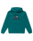 The Quiksilver Boys Boys Logo Hoodie in Teal Green