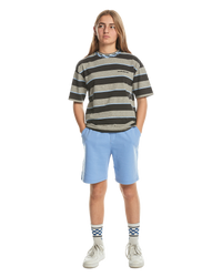 The Quiksilver Boys Boys Stripe T-Shirt in Tarmac Stripe