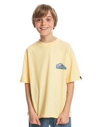 The Quiksilver Boys Boys Take Us Back T-Shirt in Mellow Yellow