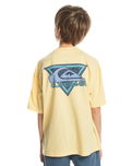 The Quiksilver Boys Boys Take Us Back T-Shirt in Mellow Yellow