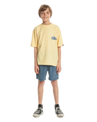 The Quiksilver Boys Boys Take Us Back T-Shirt in Mellow Yellow