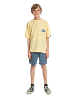 The Quiksilver Boys Boys Take Us Back T-Shirt in Mellow Yellow