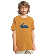 The Quiksilver Boys Boys Comp Logo T-Shirt in Bone Brown