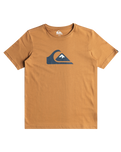 The Quiksilver Boys Boys Comp Logo T-Shirt in Bone Brown