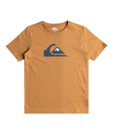 The Quiksilver Boys Boys Comp Logo T-Shirt in Bone Brown