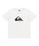 The Quiksilver Boys Boys Comp Logo T-Shirt in White