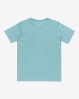 The Quiksilver Boys Boys One Last Surf T-Shirt in Marine Blue