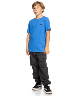 The Quiksilver Boys Boys Basic T-Shirt in Nebulas Blue