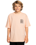 The Quiksilver Boys Boys Vertical Logos T-Shirt in Peach Parfait