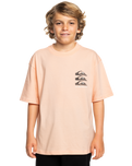 The Quiksilver Boys Boys Vertical Logos T-Shirt in Peach Parfait