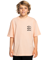 The Quiksilver Boys Boys Vertical Logos T-Shirt in Peach Parfait