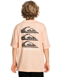 The Quiksilver Boys Boys Vertical Logos T-Shirt in Peach Parfait