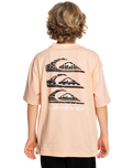 The Quiksilver Boys Boys Vertical Logos T-Shirt in Peach Parfait