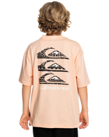 The Quiksilver Boys Boys Vertical Logos T-Shirt in Peach Parfait